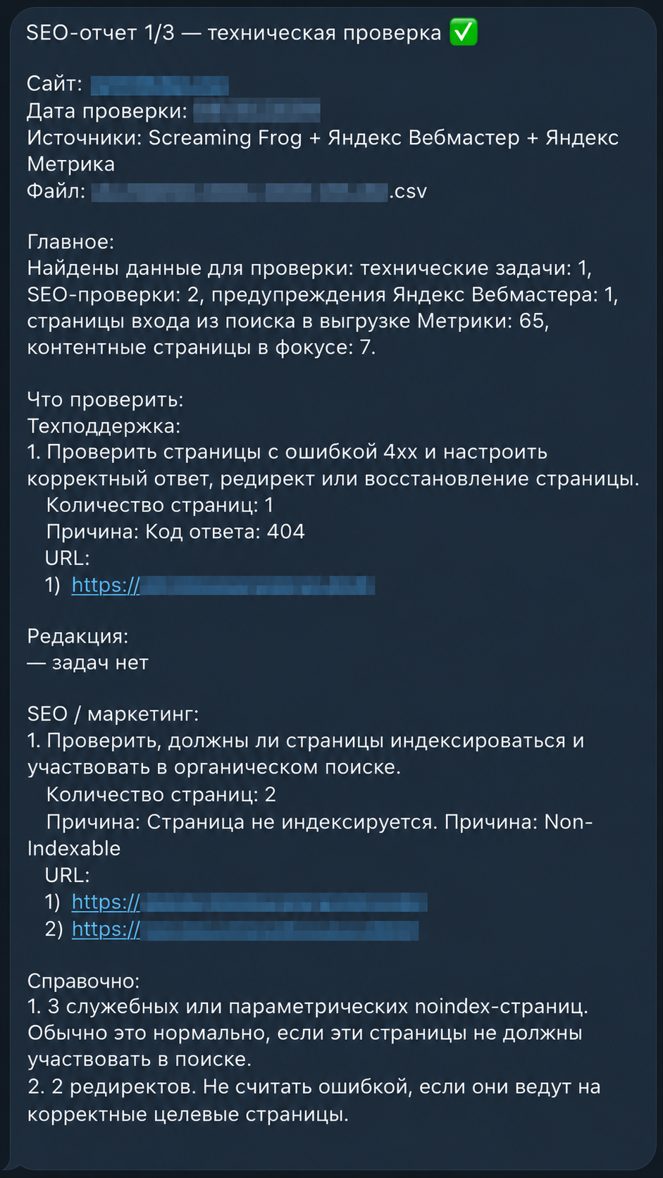 Рис. 8. Технический отчёт: задачи для техподдержки, SEO и редакции. Сайт, дата проверки, файл и URL обезличены.